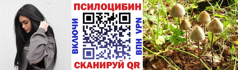 Псилоцибиновые грибы прущие грибы  хочу   OMG ТОР  Нерчинск 